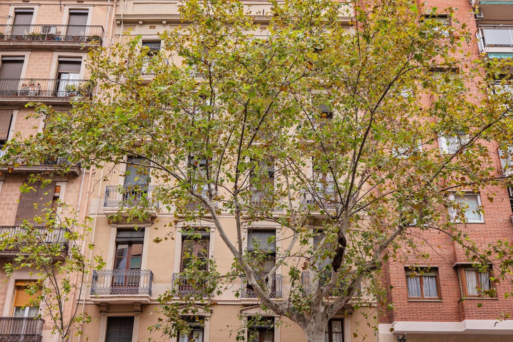 Sweett - Urgell Eixample Apartamento Barcelona Exterior foto